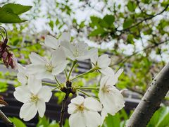 -上海皇廷花园酒店·御宴中餐厅