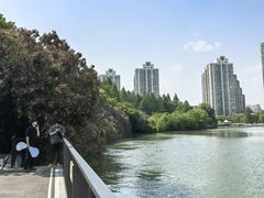 -苏州河梦清园环保主题公园