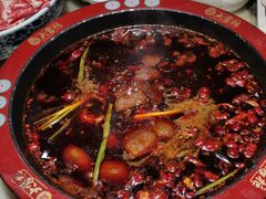 -矮板凳老火锅(宽窄巷子店)