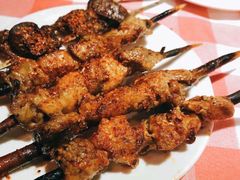 红柳木羊肉串-西域阿里马新疆菜·清真(桂花路店)