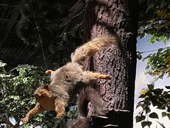 -陕西自然博物馆