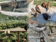 -泉州海丝野生动物世界