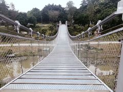 -东莞植物园