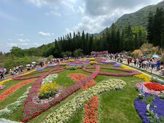 -深圳仙湖植物园
