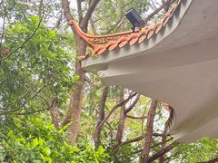 -水濂山森林公园