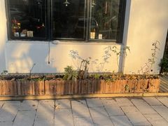 -如禾素食·下午茶·糖水