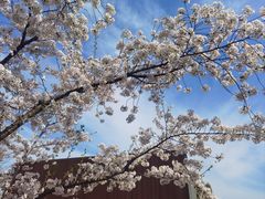 -龙美术馆(西岸馆)