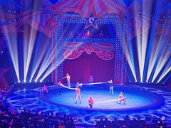 -珠海横琴长隆《卡卡虎奇遇记》