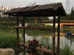 -长田漾湿地公园