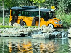 -北京野生动物园