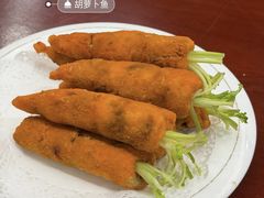 -丁老爷子苏香圆