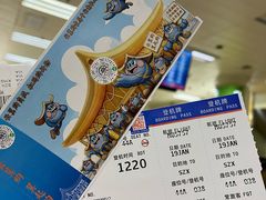 -德宏芒市国际机场