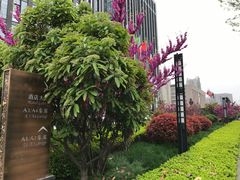 -美盛喜来登大酒店-盛宴标帜餐厅