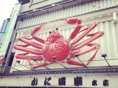 -蟹道乐(道顿堀本店)