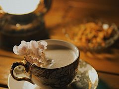 -Catail前苑(前门大街店)