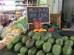 -西双版纳傣族园