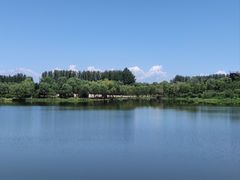 -东郊湿地公园