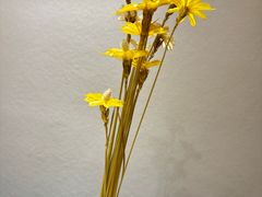 -江户家日本料理(淮海路店)