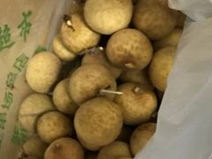 -乐乐鲜果水果超市(河北店)