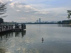 -海珠湖公园