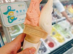 -柠檬车露(卖草地店)