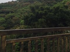 -鲤鱼塘农家山庄