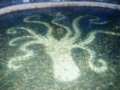 -陆地游轮吉林神农温泉