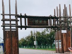 -哈素海