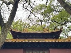 -普陀山风景名胜区-法雨禅寺