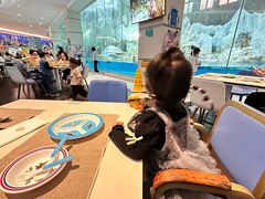 -帝企鹅自助餐厅•儿童岛•真企鹅(长隆企鹅酒店)