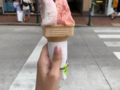 -柠檬车露(卖草地店)