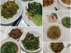 -爱月宝月嫂·育儿嫂