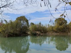 -西溪国家湿地公园