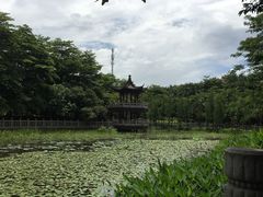 -福神岗公园