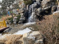 -南宫五洲植物乐园