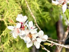 -白水寺森林公园