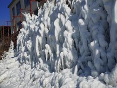 -北京鹿世界主题园