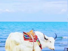 -青海湖国家重点风景名胜区