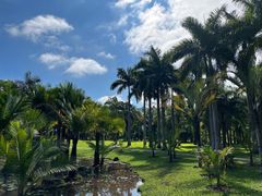 -中国科学院西双版纳热带植物园