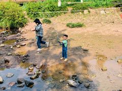-重庆彩云湖湿地公园