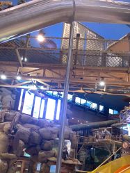 -卡通尼·Safari非洲探索乐园·生日会(金桥国际商业广场店)