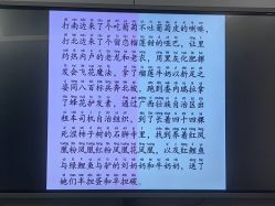 -浙江1+1主持人工作室