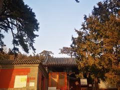 -阳台山自然风景区