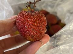 -鲜力达果品批发直销(青山店)