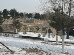 -莫子山公园