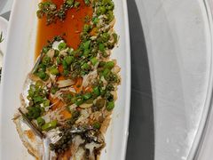 -沪碟·精菜坊(闵行店)