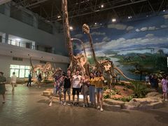 -自贡恐龙博物馆