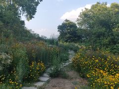 -六合国家地质公园桂子山景区