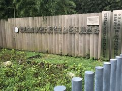 -都江堰中华大熊猫苑