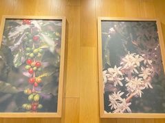 -星巴克臻选(华堂·新辰汇店)